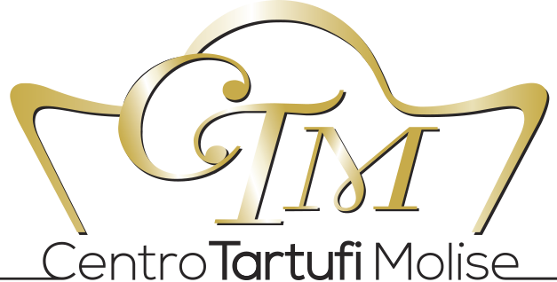 CTM